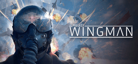 僚机计划/Project Wingman（更新v2.1.1）-开心广场