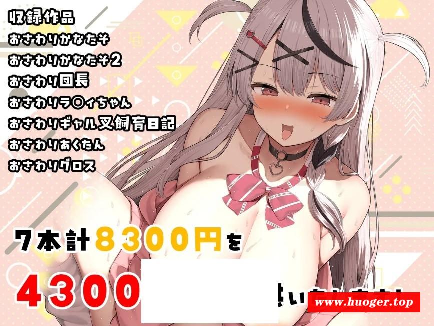 [PC-SLG游戏] [SLG/PC+安卓] 全息触摸合集BOX おさわりHOLOおまとめBOX [4G/百度][CMHJ63]-开心广场
