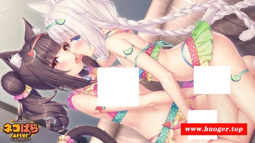 图片[4]-[PC-ADV游戏] 【ADV/官中】猫娘乐园 After/ネコぱら After ラ・ヴレ・ファミーユ 官方中文版【4G/BD】[maoniang]